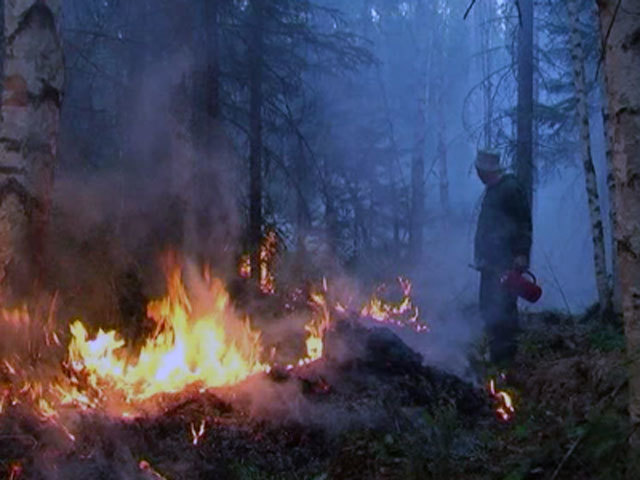 Александр Хлопонин пообещал губернаторам отставку за лесные пожары