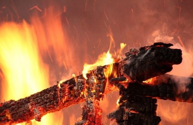 В Якутске сгорела оранжерея Ботсада