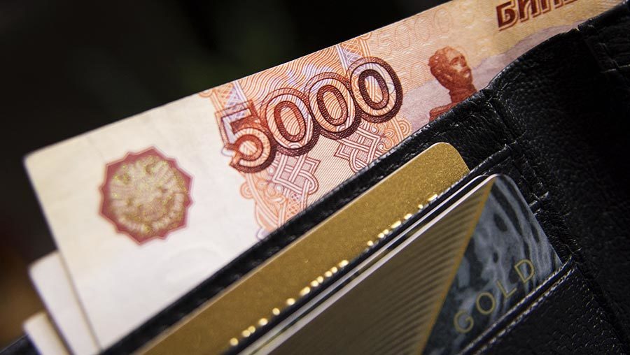 Средний предновогодний чек россиян составит 16200 рублей