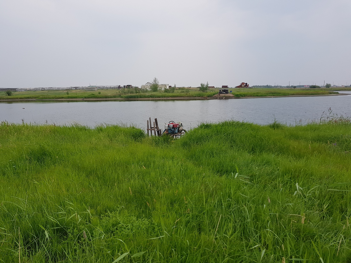 Речка Мархинка пересыхает из-за забора воды  крестьянскими хозяйствами