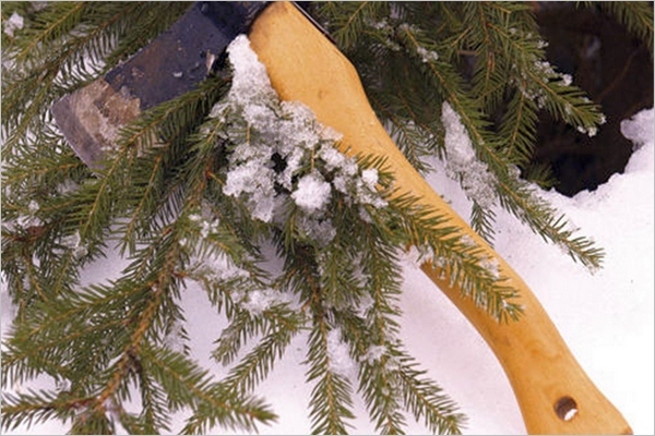 В Якутии за незаконную рубку елок грозит штраф до 5000 рублей