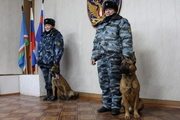 Собаки-клоны будут охранять исправительную колонию в Якутске
