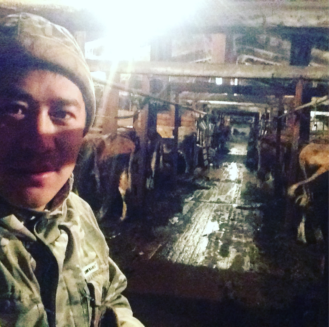 На Рождество администрация якутского села вышла в коровники вместо скотников и доярок