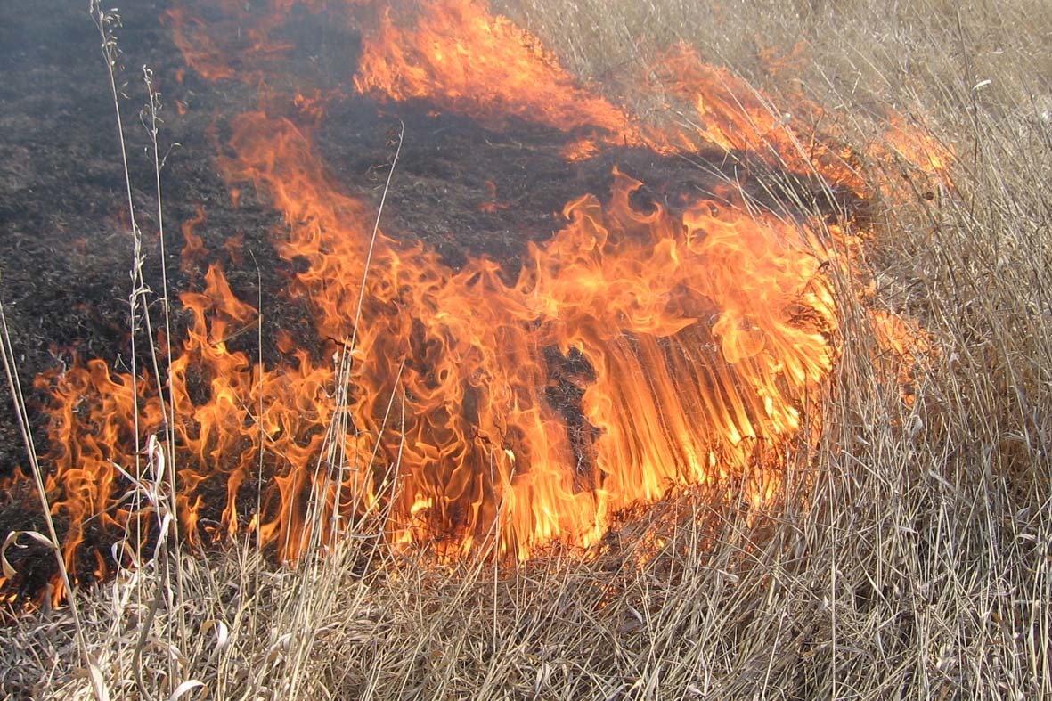В Якутии по специальной методике будут проводиться профилактические выжигания сухой травы