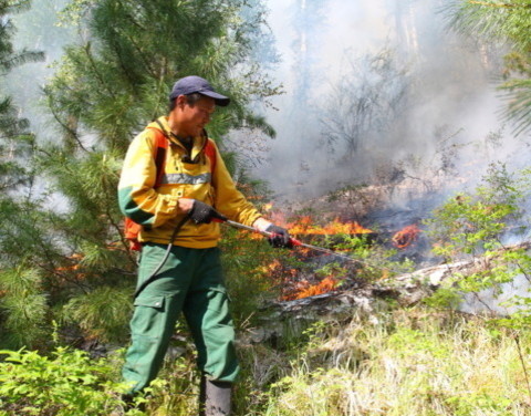 В Якутии действуют 9 лесных пожаров