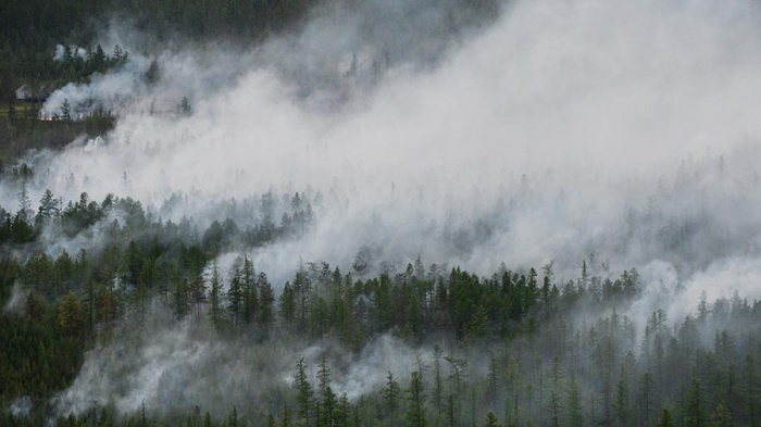 Площадь лесных пожаров в Якутии почти в 14 раз меньше, чем в прошлом году