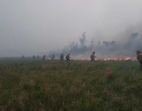 Ситуация с лесными пожарами рассмотрена у врио Главы РС (Я)