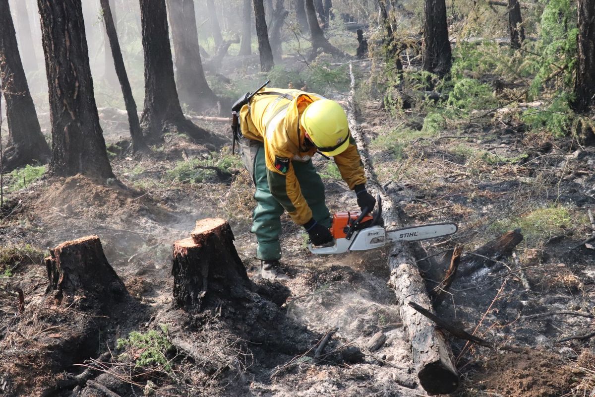 В Намском улусе локализован один лесной пожар