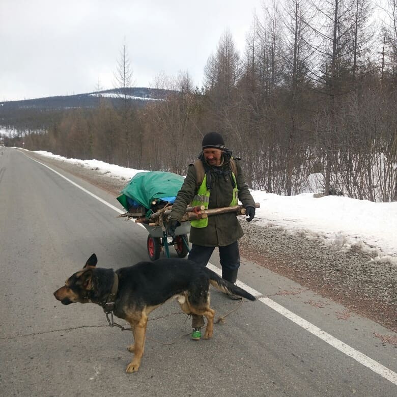 У якутского путешественника сбили собаку насмерть