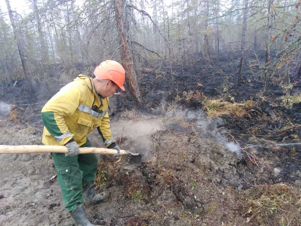 Площадь пожаров в Якутии достигла 1 млн га