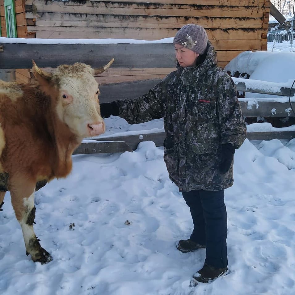 Под лежачий камень вода не течет картинка