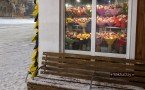 Цветочный конфликт к 8 Марта. Бизнес возмущается торговлей букетами в теплых остановках Якутска