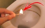 20 секунд — и запах из туалета бесследно исчезает: хитрость, которая спасёт от позора