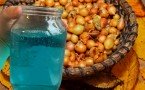 Для крупного здорового лука: лучший обеззараживающий раствор для севка — убьёт все болезни