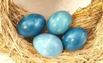 Забудьте про шелуху: как покрасить яйца в цвет «королевский синий» с помощью обычной капусты