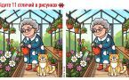 Загадка для самых зорких: найдите 11 отличий на картинке в теплице за 45 секунд