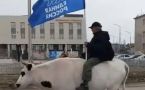 В Якутии «единороссы» участвовали в параде Победы на кастрированном бычке