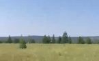 «Панорама» не продавала земельные участки в СНТ «Сатал»