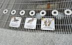 Фотофакт: Еще один ребенок поранился на площади Республики в Якутске
