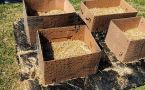 Мировой тренд — картонная коробка дороже золота: спасает грядки от сорняков лучше дорогих геотканей