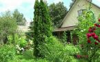 Август на даче: убираем лук, сеем сидераты и прищипываем томаты — план работ от эксперта
