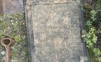 Могила якута 1883 года найдена в глухой тайге под Бодайбо