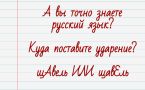 А вы точно знаете русский язык? «Щавель» — куда падает ударение в этом слове?