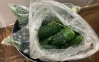 Секрет быстрой засолки: превращаем обычные огурцы в ядреные и хрустящие за 24 часа — рецепт без долгого ожидания