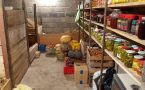 Как убрать сырость и плесень в погребе: рабочий способ с копеечным продуктом сделает его сухим