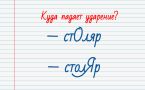 Тест на грамотность: куда падает ударение в слове «Столяр»?