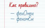 Проверьте свою грамотность: «Феномен» — где в этом слове ударение?