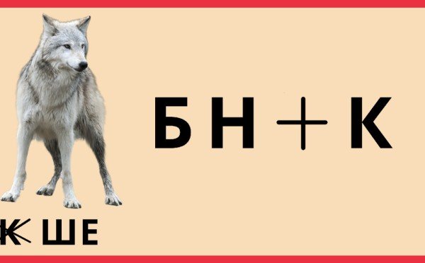 Волк слабее льва и тигра: а вы умнее — решите ребус с волком и докажите, что ваше место не в цирке