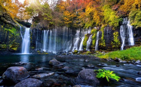 Гороскоп для всех знаков на 16 августа: Водолеям — небывалый успех, Девам — вдохновляющие знакомства, а Стрельцам — прилив сил и энергия