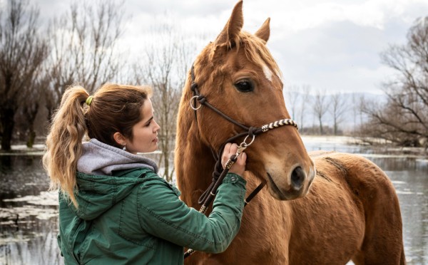 Что нельзя ставить на стол в Новый год Огненной Лошади: встречаем 2026-й правильно — три табу, которые могут отпугнуть удачу