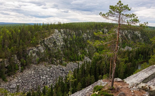 Таинственная тайга — на такое приключение решится не каждый любитель походов и природы, 5 правил выживания в суровой среде