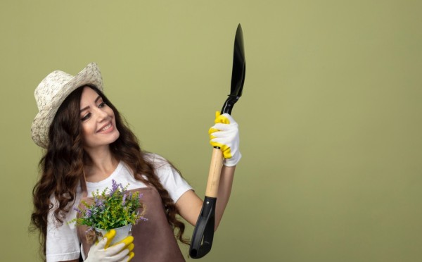 Петунии в прошлом: украшаем сад новыми растениями, ничуть не хуже, и даже дешевле — лайфхак от садоводов