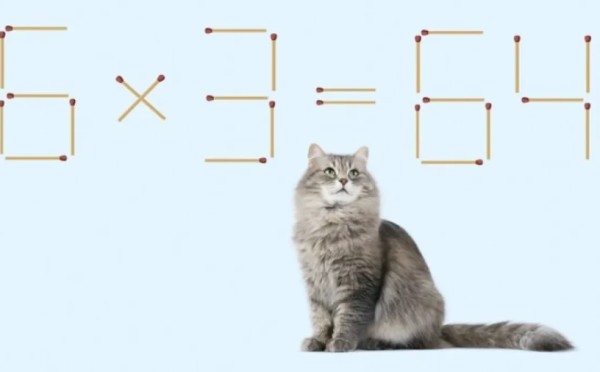 Вопрос на засыпку: что общего между кошкой и головоломкой — это не анекдот, а реально доказанный факт