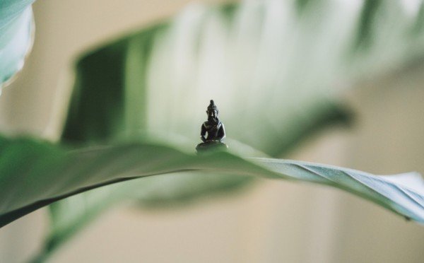 Обнуляй и кайфуй — в конце декабря 1 знаку Зодиака стоит замедлиться и постичь истинный Дзен