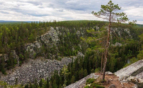 Таинственная тайга — на такое приключение решится не каждый любитель походов и природы, 5 правил выживания в суровой среде