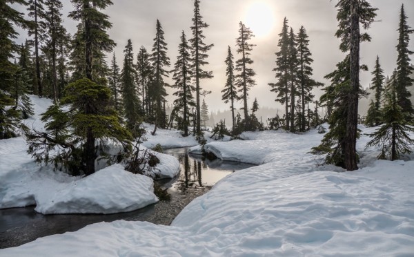 Суровый казачий дух: настоящий русский зимой не замерзнет — они могли часами сидеть в степи в -40, невероятная выдержка