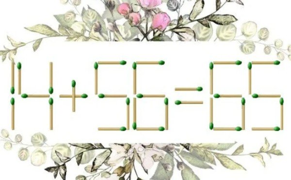 Смекалка на миллион: мысли в вашем мозгу будут цвести пышным цветом — всего 1 упражнение изменит все