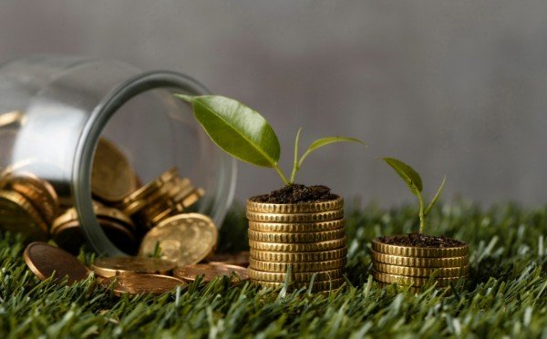 Динамика денег: благоприятное время для инвестиций у 1 знака Зодиака — не бойтесь вкладываться в конце декабря