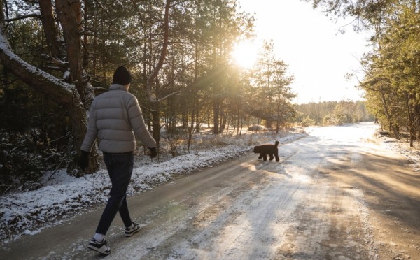 Память как решето? Давайте улучшим ее — эксперты назвали самый простой, 100% эффективный способ это сделать