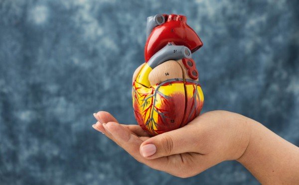 Привычки от Бокерии: сердце запоет и расцветет — измените свой образ жизни уже сегодня