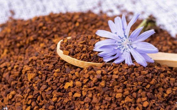 Утро начинается не с кофе — зачем пить цикорий и может ли он заменить чашечку ароматного американо