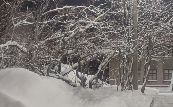 Почему в деревнях на Севере России не запирают двери и молчат за столом: 8 привычек, которые учат нас доверять миру