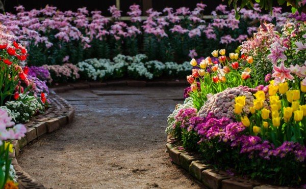 Почти как у Семирамиды — вот 3 классных приема, чтобы вашему саду обзавидовались все соседи в СНТ