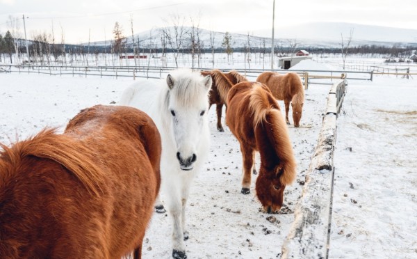 Страшная правда о 5 января — эти 3 вещи нельзя делать в Федулов день