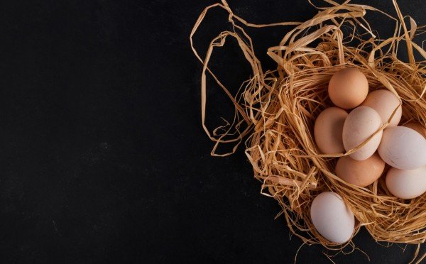 Яиц будет много даже в холода — вот 3 важных момента, которые надо учитывать, чтобы яйценоскость зимой оставалась высокой