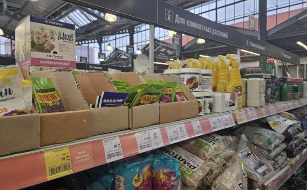 В четверг нельзя пересаживать, в пятницу — обрезать: лунный календарь цветовода на 28 — 31 января 2026 года